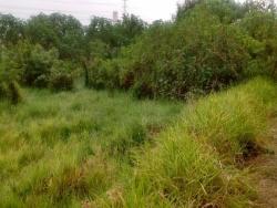 Terreno para Venda em Santa Branca - 4