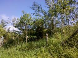 Chácara para Venda em Guararema - 5