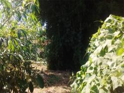 Chácara para Venda em Santa Branca - 4
