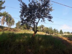 Terreno para Venda em Jacareí - 4