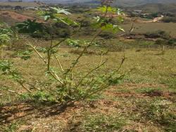 Terreno para Venda em São José dos Campos - 3