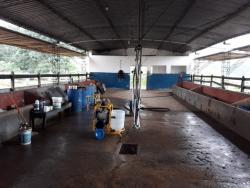 Sítio para Venda em Santa Branca - 4