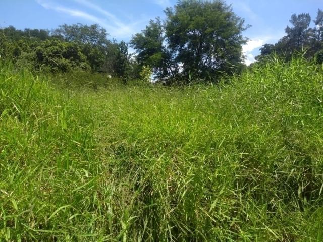 #23798 - Terreno para Venda em Jacareí - SP - 1