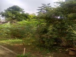 Chácara para Venda em Santa Branca - 5