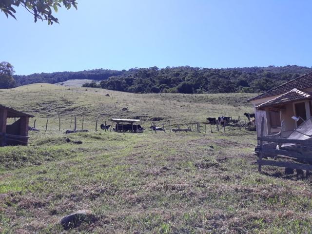 Sítio para Venda em Baependi - 5
