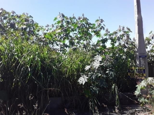 Terreno para Venda em Jacareí - 3