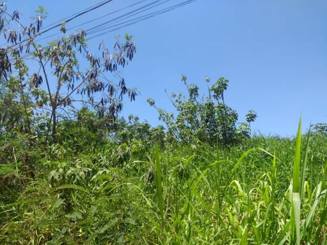 Terreno para Venda em Jacareí - 4