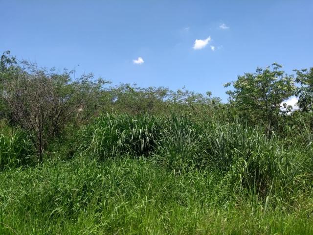 Terreno para Venda em Jacareí - 5