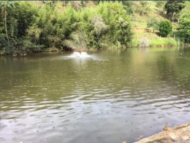 Chácara para Venda em Jacareí - 4