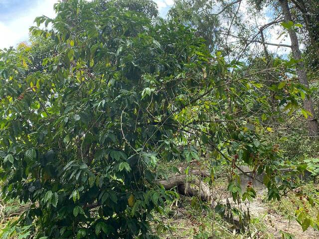#23553 - Terreno para Venda em Jacareí - SP