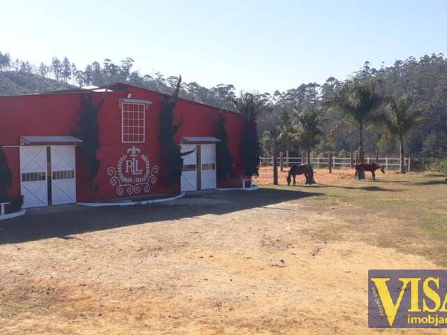 #23600 - Haras para Venda em Santa Isabel - SP - 2