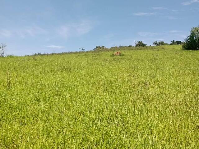 Área para Venda em Jacareí - 5