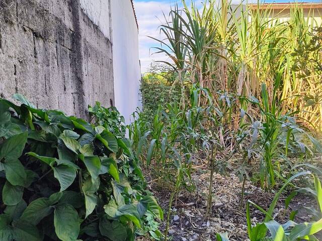 Terreno para Venda em Jacareí - 4