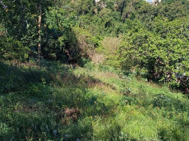 #24608 - Terreno para Venda em Jacareí - SP - 3