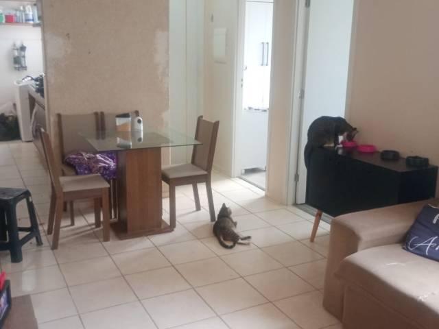 Apartamento para Venda em Jacareí - 5