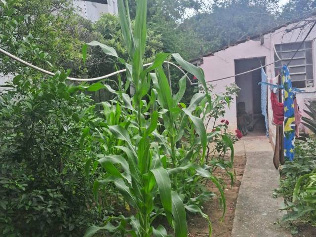 #24620 - Casa para Venda em Jacareí - SP - 3