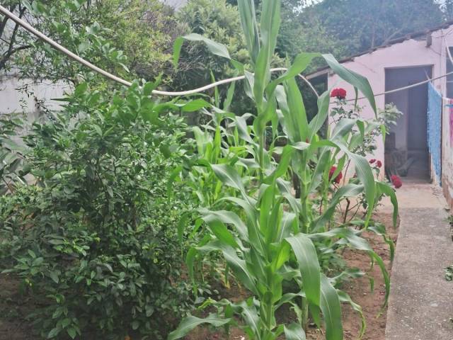 Casa para Venda em Jacareí - 4