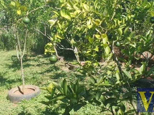 #24655 - Chácara para Venda em Jacareí - SP - 2