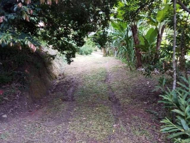 #24687 - Chácara para Venda em Jacareí - SP - 3