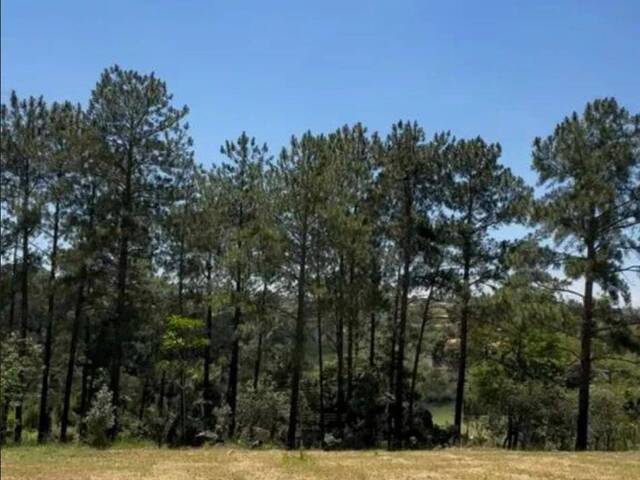 #24709 - Alto Padrão para Venda em Jacareí - SP - 2