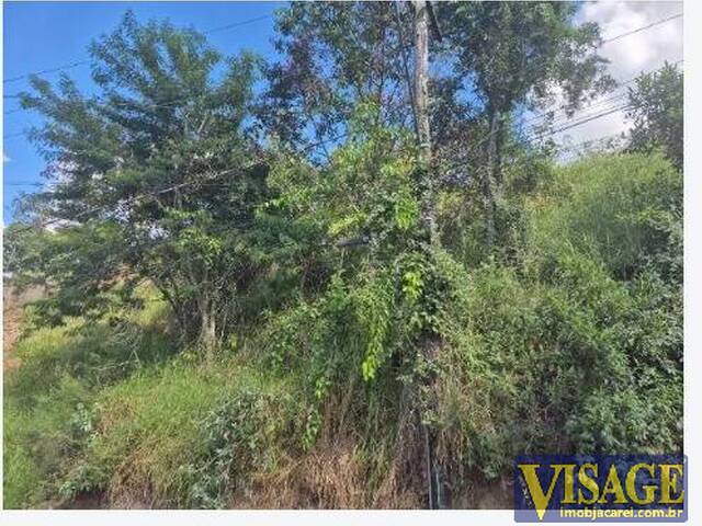 Alto Padrão para Venda em Guararema - 4