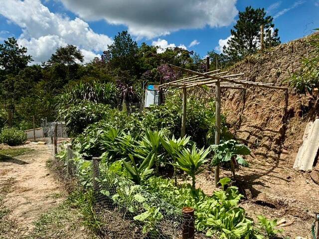 #24906 - Chácara para Venda em Paraibuna - SP - 2