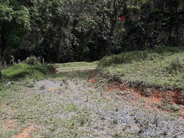 #24955 - Alto Padrão para Venda em São José dos Campos - SP - 2