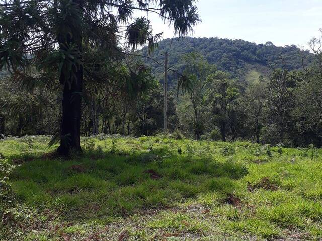 #24955 - Alto Padrão para Venda em São José dos Campos - SP - 3