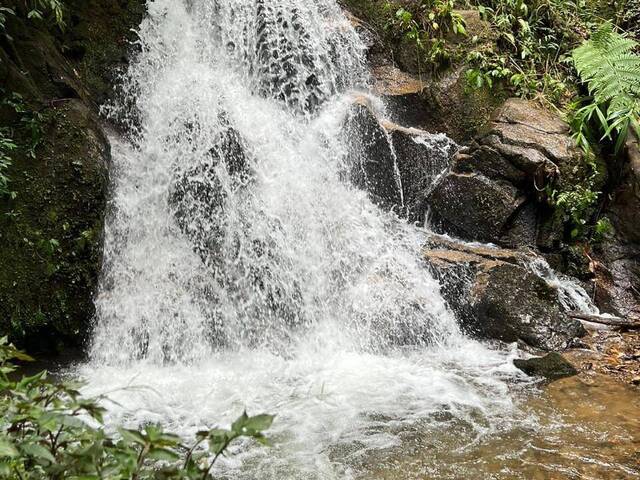 Alto Padrão para Venda em São José dos Campos - 4