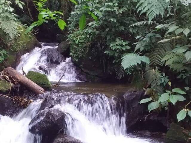 Alto Padrão para Venda em São José dos Campos - 5