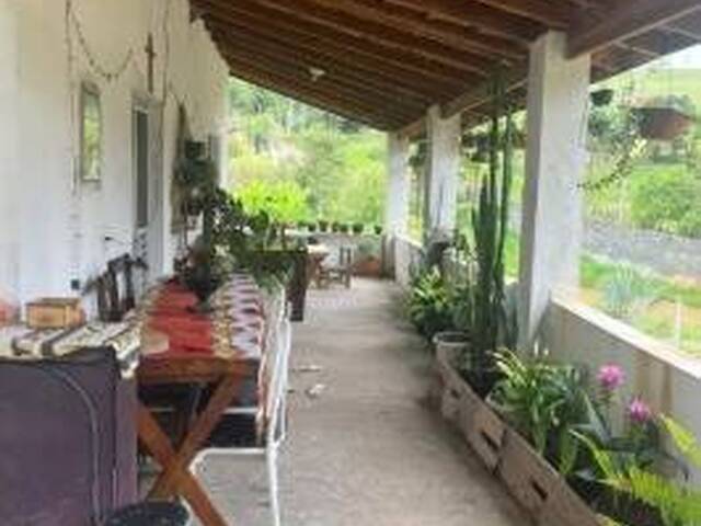 #25012 - Chácara para Venda em Santa Branca - SP - 2