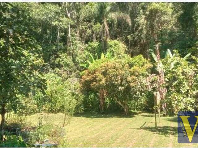 #25078 - Chácara para Venda em Paraibuna - SP - 2