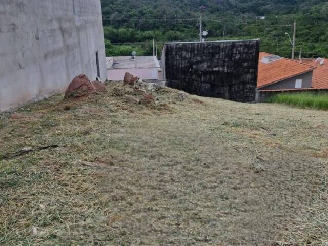 #25123 - Terreno para Venda em Jacareí - SP - 2