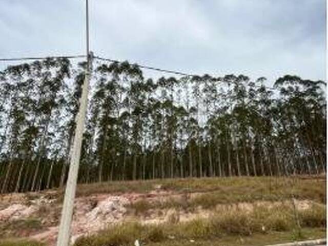 Terreno para Venda em São José dos Campos - 4
