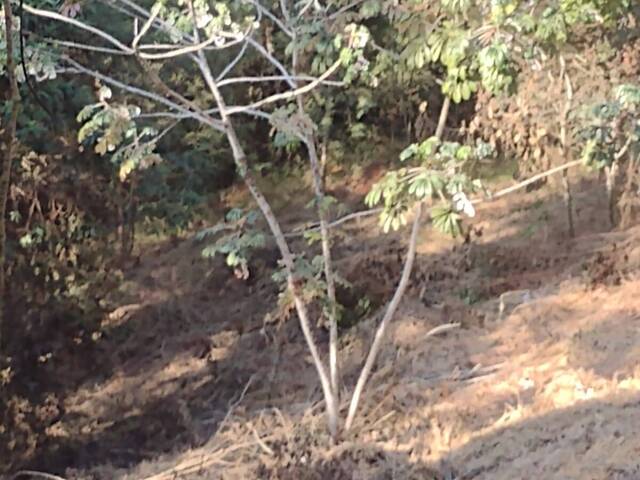 #25163 - Terreno em condomínio para Venda em São José dos Campos - SP - 2