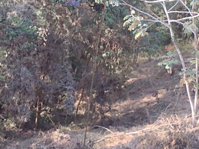 #25163 - Terreno em condomínio para Venda em São José dos Campos - SP - 3