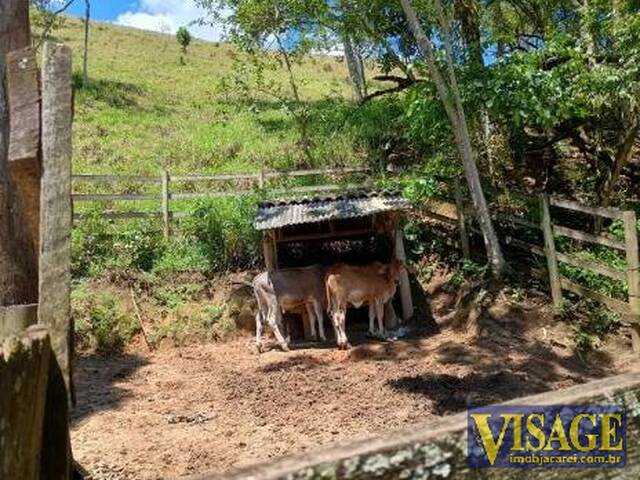 Chácara para Venda em São José dos Campos - 5