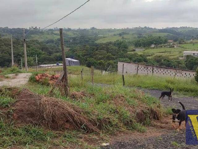 #25312 - Alto Padrão para Venda em Jacareí - SP - 2