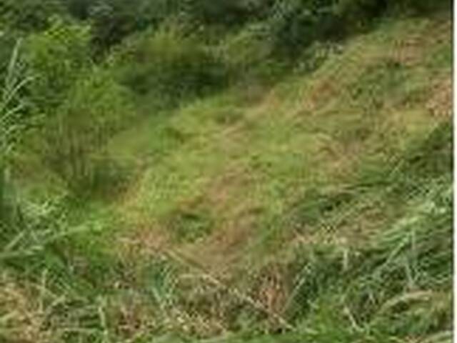 #25319 - Terreno para Venda em São José dos Campos - SP - 1