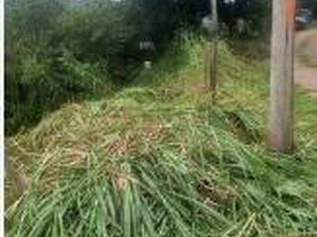 #25319 - Terreno para Venda em São José dos Campos - SP - 3