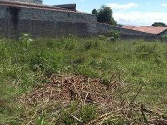 #25364 - Terreno para Venda em São José dos Campos - SP - 3