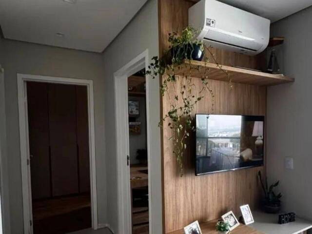 Venda em Jardim Primavera - Jacareí