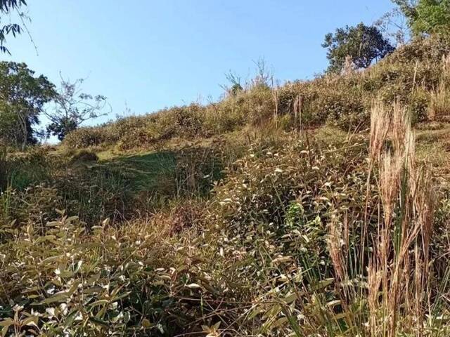 #25528 - Alto Padrão para Venda em Jacareí - SP - 3