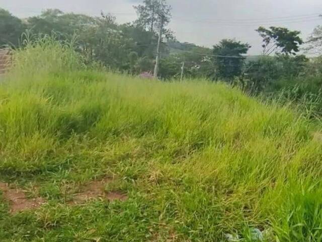 #25614 - Alto Padrão para Venda em Jacareí - SP - 1