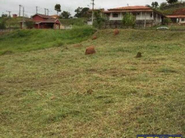 #25630 - Alto Padrão para Venda em Caraguatatuba - SP - 1