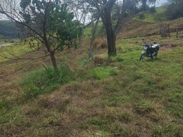 #25651 - Terreno para Venda em Taubaté - SP - 1