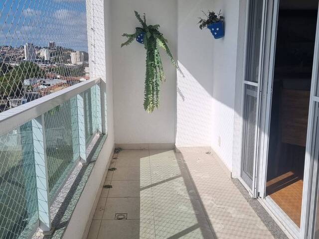 #25660 - Apartamento para Locação em Jacareí - SP - 1
