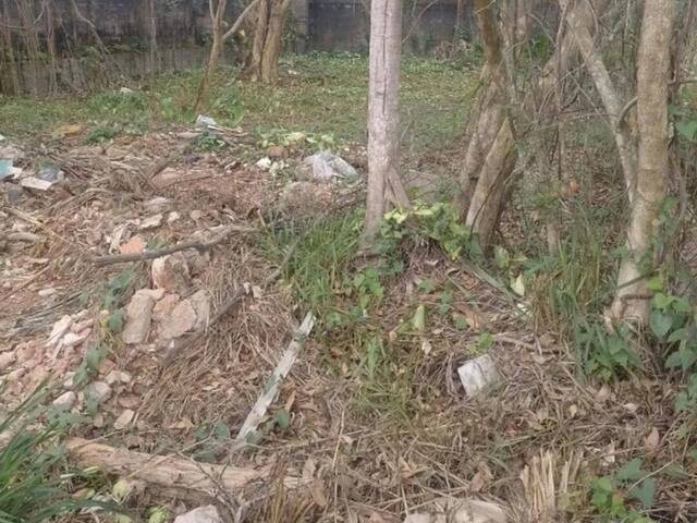 #25706 - Alto Padrão para Venda em Santa Branca - SP - 2