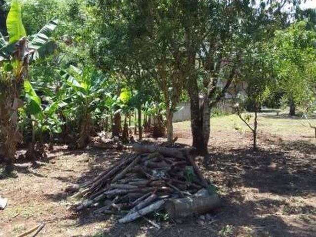 #25819 - Chácara para Venda em São José dos Campos - SP - 1