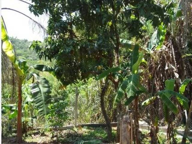 #25819 - Chácara para Venda em São José dos Campos - SP - 3